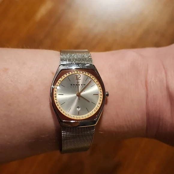 Skagen Asta Stainless Steel Mesh Watch w/Rose Face Date display picture 2